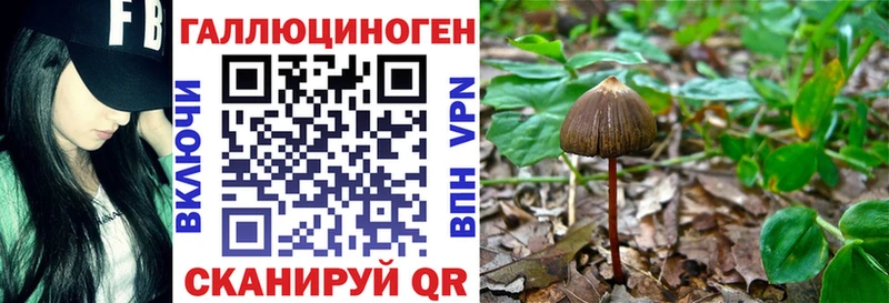 Галлюциногенные грибы прущие грибы  Купить закладки  Старый Крым 
